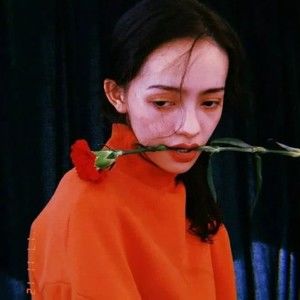 Meet your Posher, Xuân loan